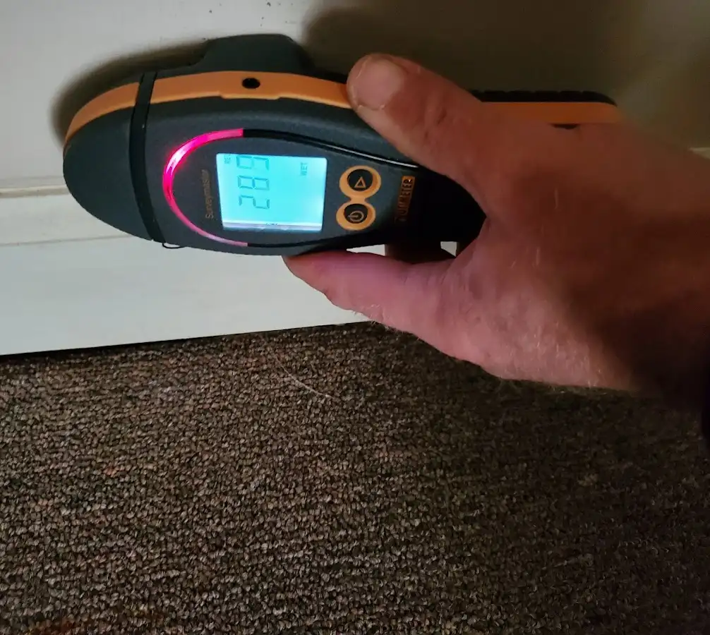 Moisture detection at baseboard during Sewage Cleanup & Sanitation in Jasper