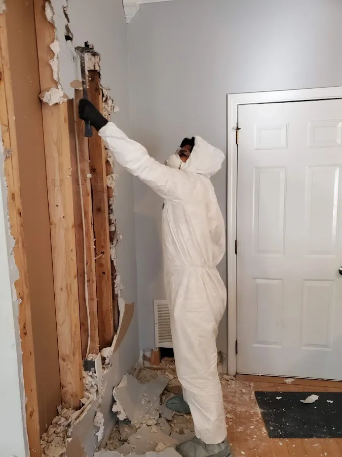 Water Damage Restoration services in Jasper, AL